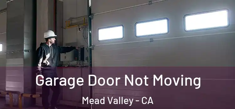  Garage Door Not Moving Mead Valley - CA