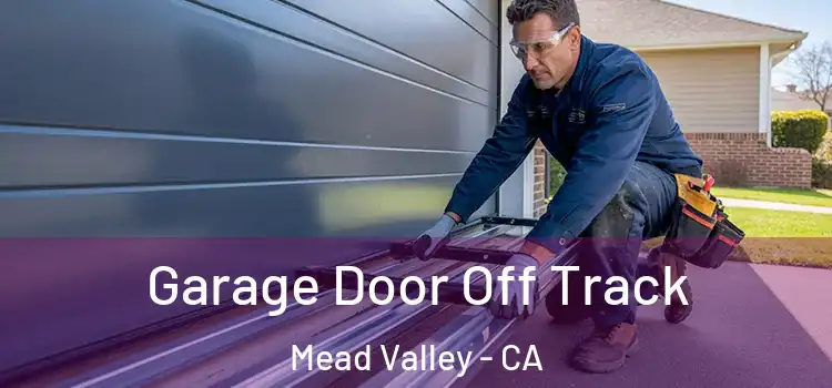  Garage Door Off Track Mead Valley - CA